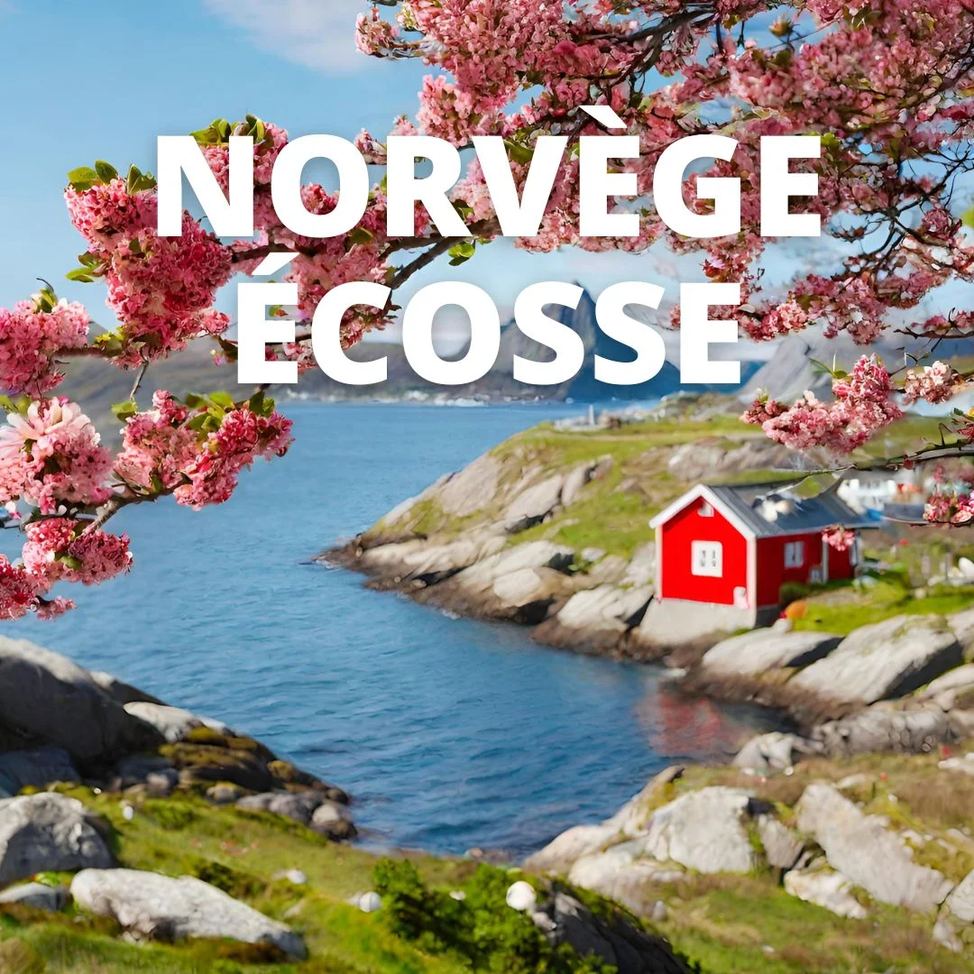 Convoyage-Norvege-Ecosse-4-1