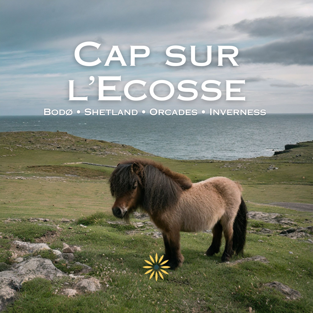 Convoyage-Cap-sur-l_Ecosse-1